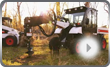 clip thumbnail