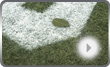 clip thumbnail